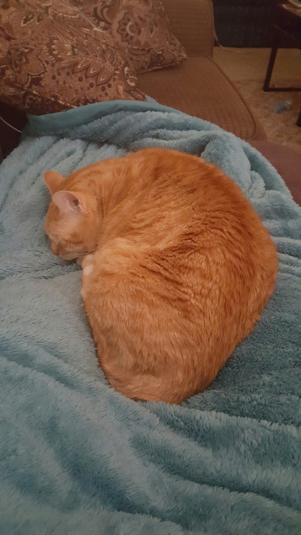 wp-1450458850280 image