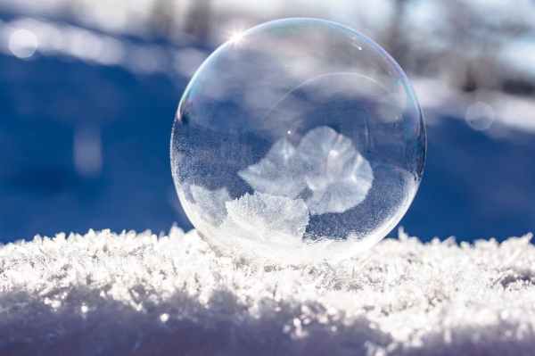 close up of snowflakes